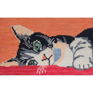 Carlota Kit para bordar